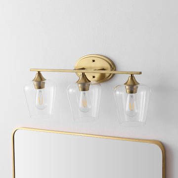 Jayne Iron/Glass Cottage Rustic LED Vanity Light